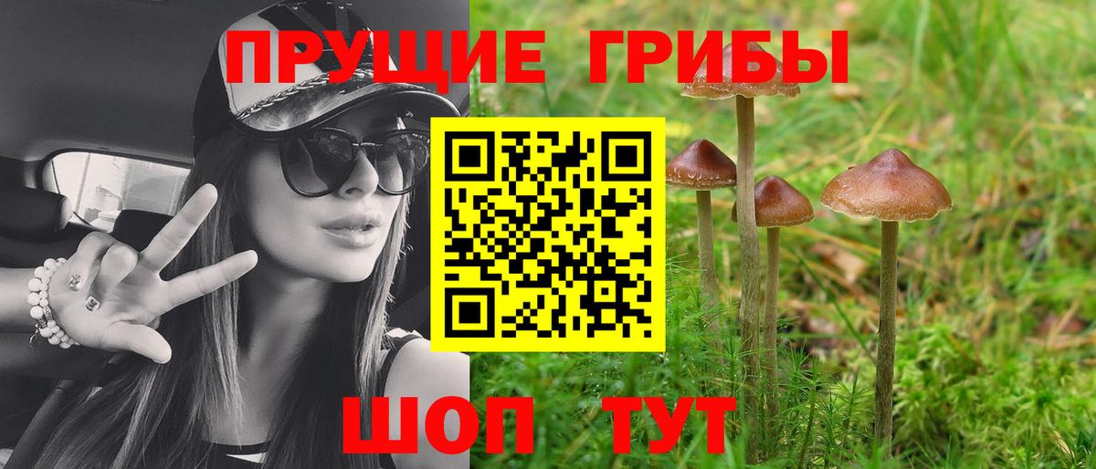 Галлюциногенные грибы мухоморы  Вход с VPN  Канаш 